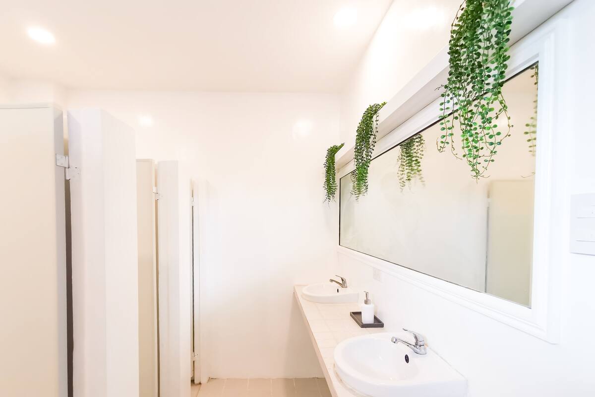 Une salle de bain moderne avec des éléments d’ameublement blancs, un grand miroir et des plantes suspendues.