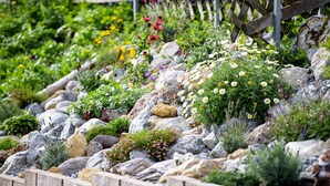 A garden with various plants and rocks, wooden borders, and a wooden fence in the background. - Hotel Traube (Pettneu am Arlberg)