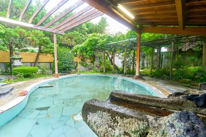 Ooedo Onsen Monogatari Shinshu Kakeyu