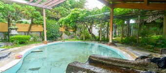 Ooedo Onsen Monogatari Shinshu Kakeyu