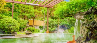 Ooedo Onsen Monogatari Shinshu Kakeyu