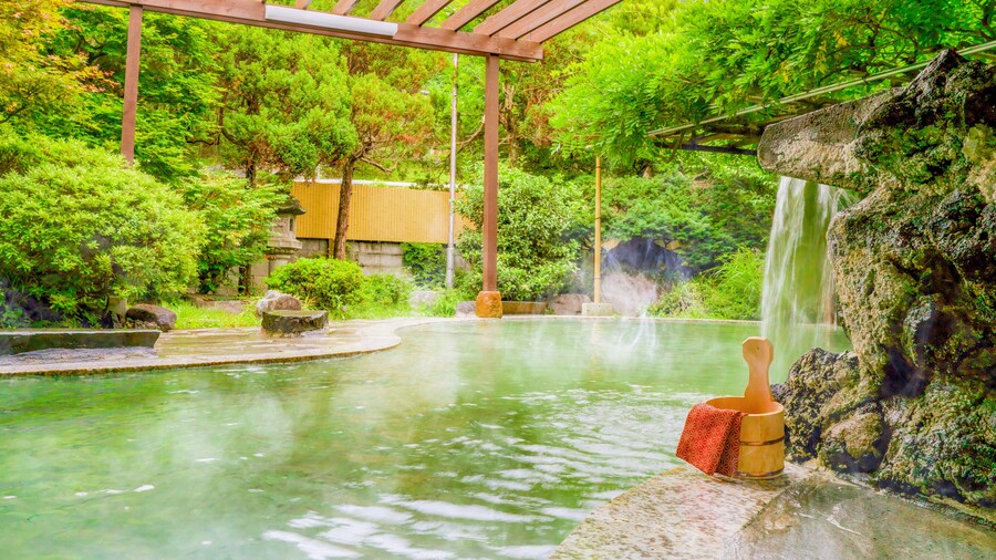 Ooedo Onsen Monogatari Shinshu Kakeyu