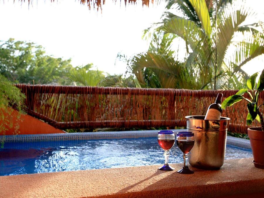 Cenário à beira da piscina com um balde de metal contendo uma garrafa, dois copos de vinho e um vaso de planta.