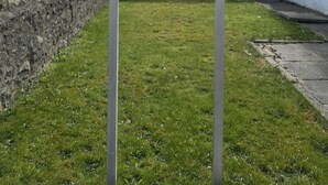 A sign for Ivy Cottage, a guest house, with contact details and a note that there are no vacancies. - Ivy Cottage Serviced Accommodation (Aberdeen)