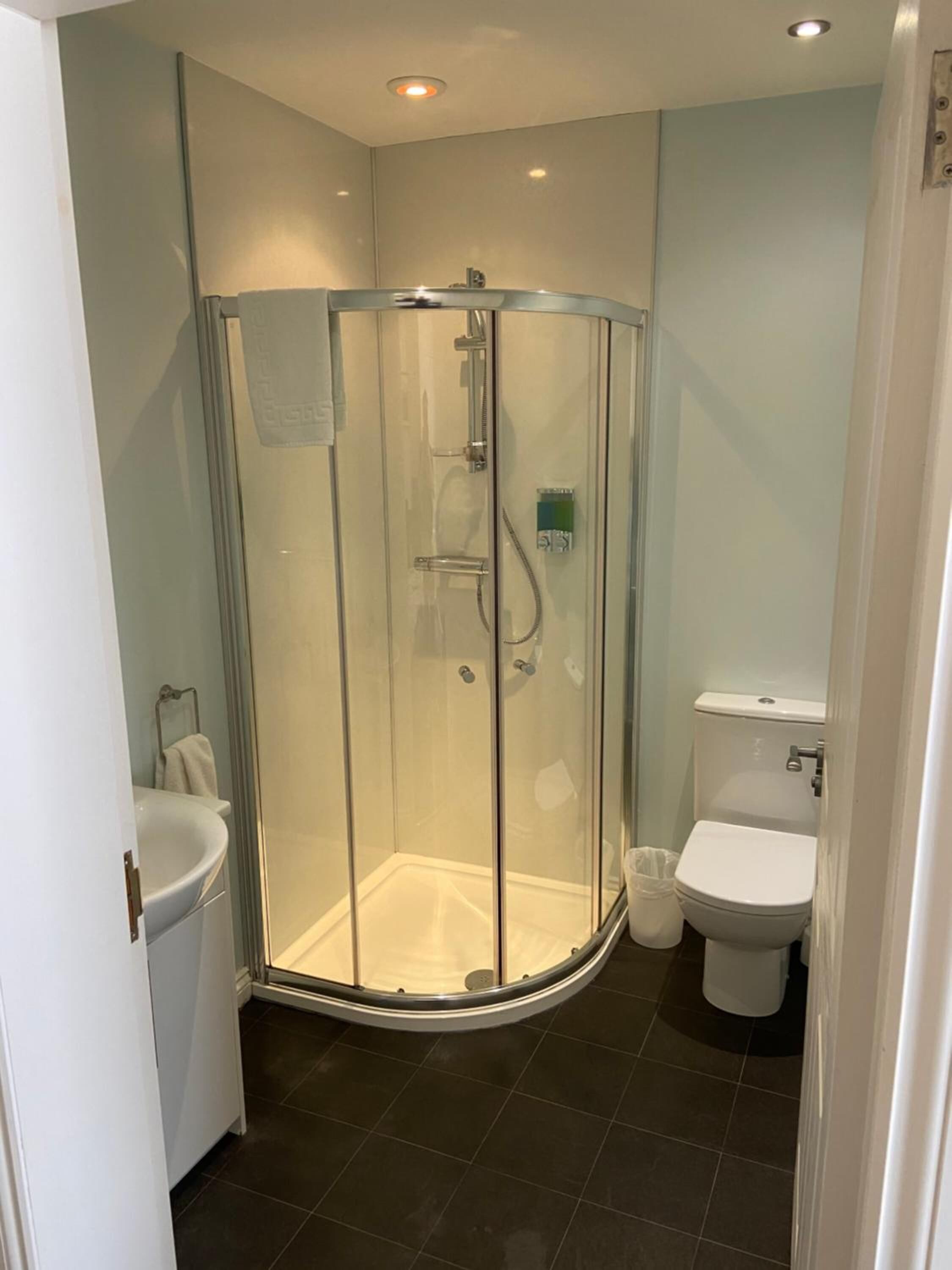 Shower, hair dryer, towels