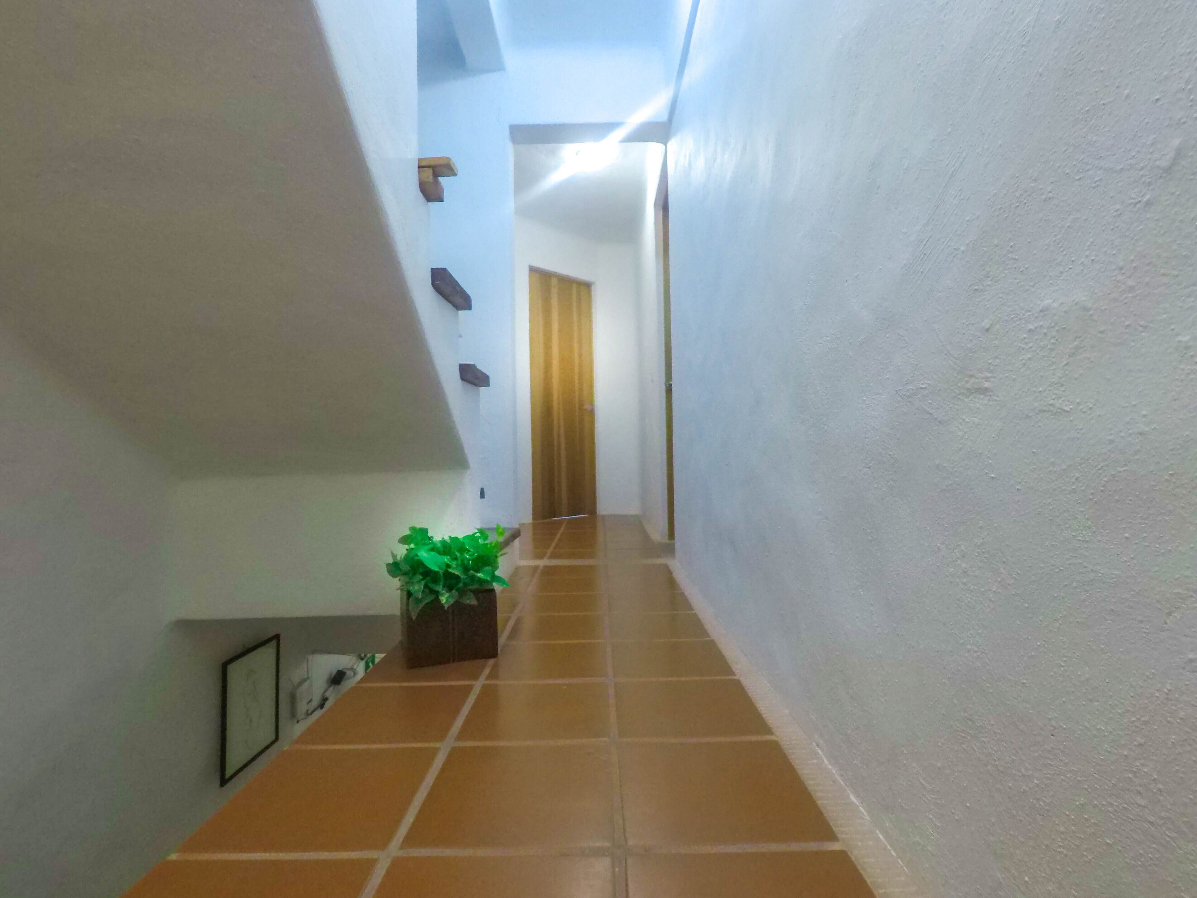 A narrow hallway with tiled flooring and white walls. There is a potted plant on the left side and a framed picture on the wall.