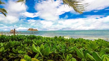 Playa