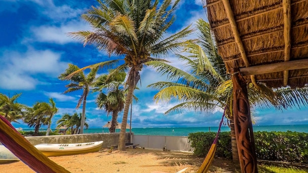 Una hamaca en una playa arenosa con palmeras y una estructura de techo de paja.