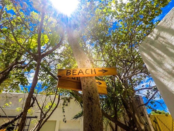 A wooden signpost with a 'BEACH' direction sign. - Unit#1 Suite Zen · Beautiful suite Zen beach front (cancun)