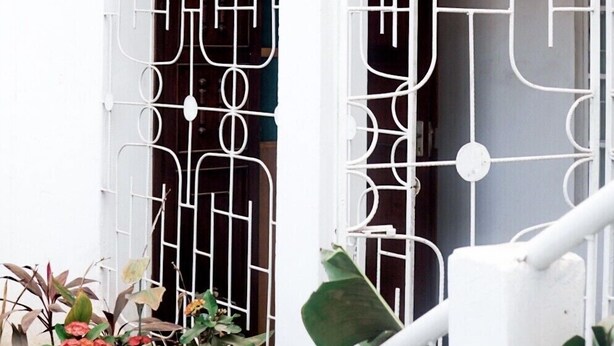 A white metal gate with a geometric design, a white wall, and a plant with red flowers.