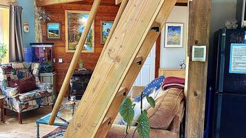 Televisión, chimenea, reproductor de DVD y libros