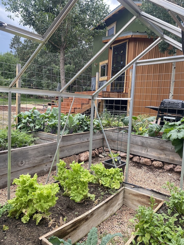 Property grounds - The Hen House & Gardens: Near USAFA & PineCrest Event Center (Palmer Lake)