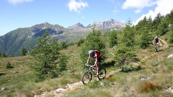 Un sentier de VTT, avec des cyclistes, entouré d’arbres et de montagnes.