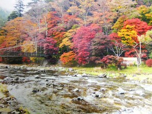 Miscellaneous - Shiobara Onsen Masudaya (Nasushiobara)
