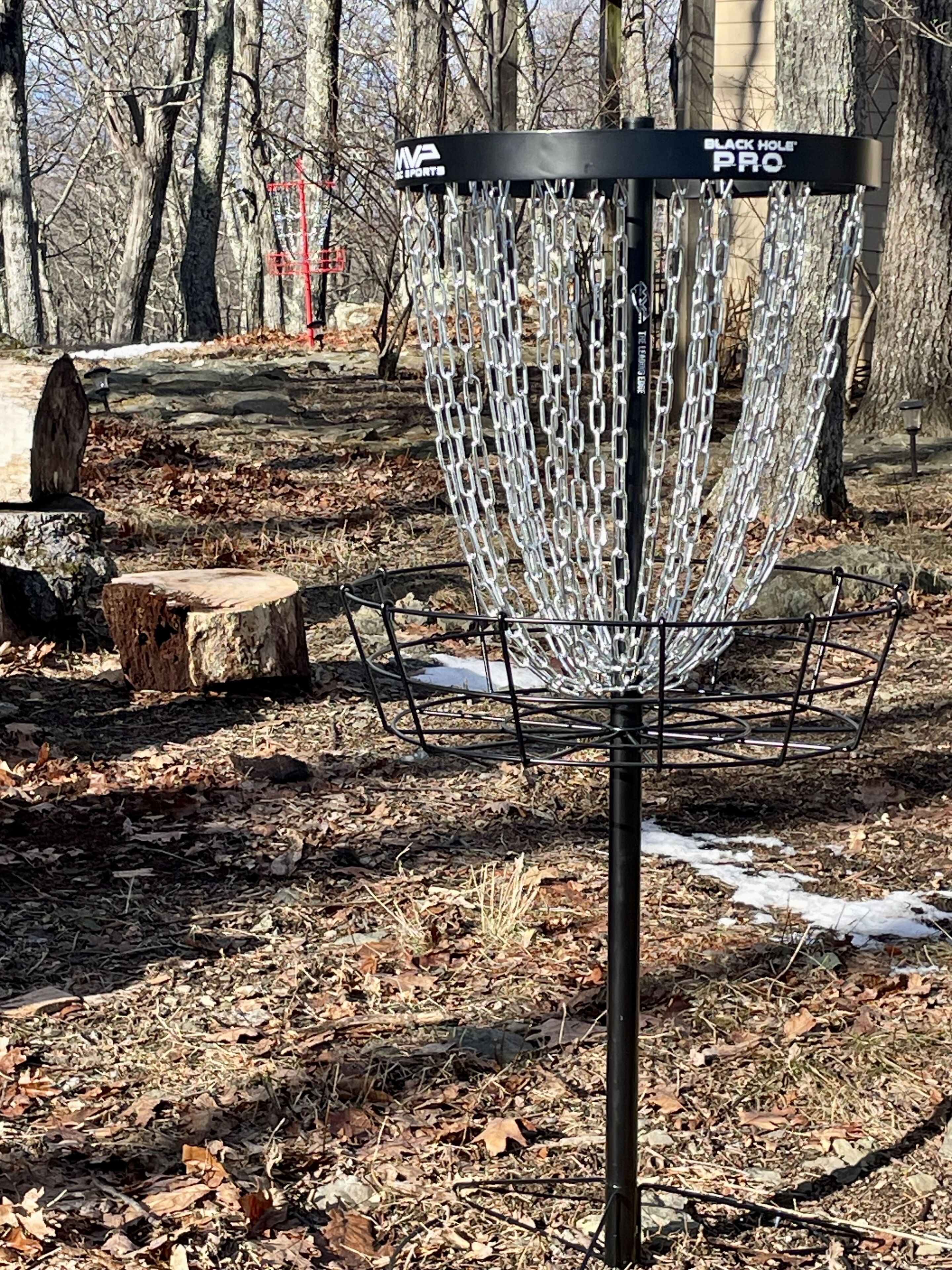 A disc golf basket with a chain net, surrounded by a wooded area with leaf-covered ground.