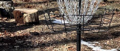 A disc golf basket with a chain net, surrounded by a wooded area with leaf-covered ground.