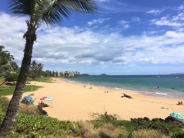 Beach nearby, sun loungers, beach towels