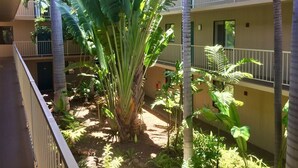 Un edificio de varios pisos con balcones, rodeado de exuberante vegetación tropical.