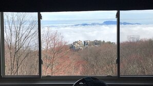 A view from a window with a clear sky, trees, and buildings in the distance.