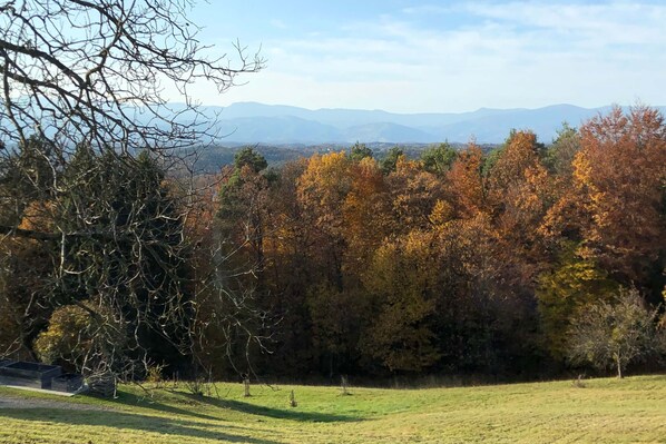 A grassy field with trees in autumn colors and mountains in the background.