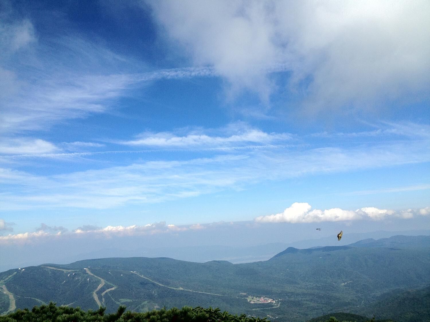 A mountainous landscape with a clear sky and a butterfly in flight.