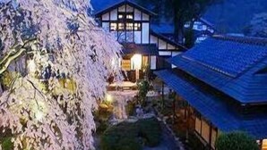 Edifici japonès tradicional amb jardí, un camí i un arbre de flors de cirera.