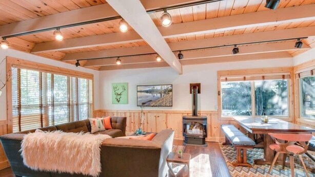 Un interior de cabaña acogedor, con un sofá, una chimenea y ventanas amplias.