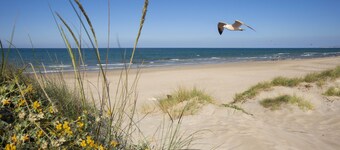 OLIVA-TAPAHTUMAT 2 - SEA