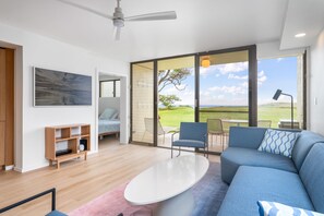 電視、DVD 播放機