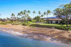 Una propiedad frente a la playa con arena, palmeras y un campo de golf.