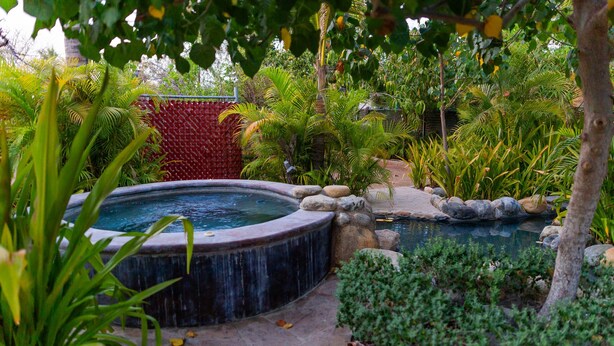 Un jacuzzi rodeado de exuberante vegetación y un sendero de piedra.
