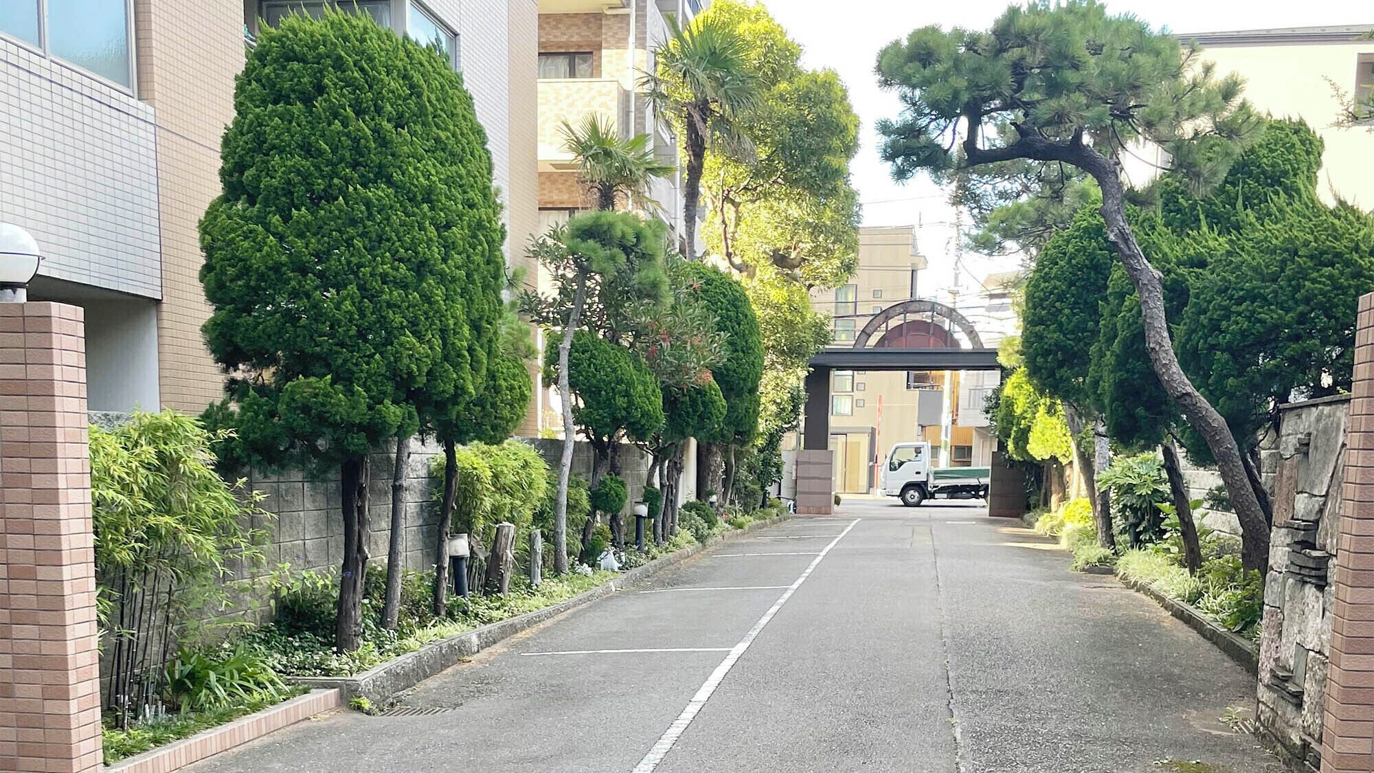 Une rue résidentielle bordée d’arbres, avec un camion garé le long du trottoir.