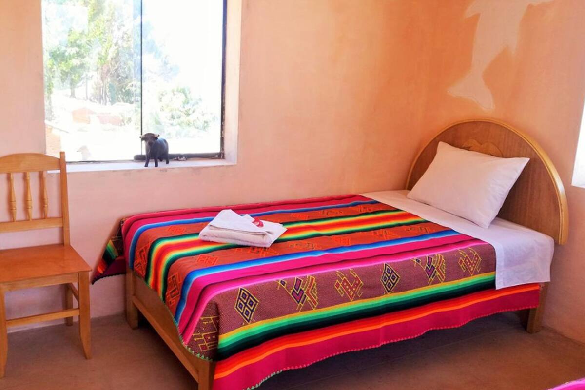 Basic Single Room, 1 Single Bed