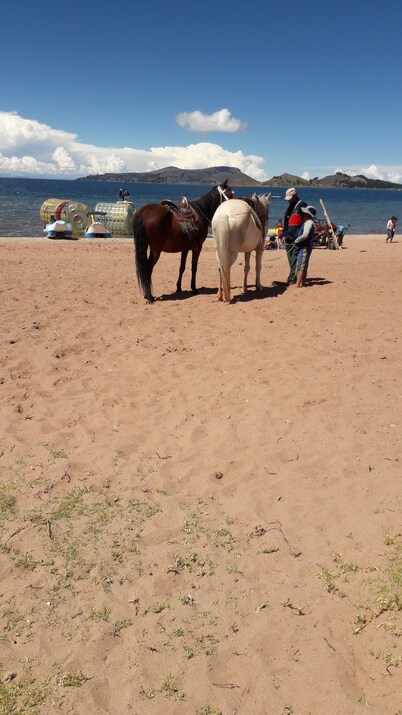 Hospedaje Munay Rosas