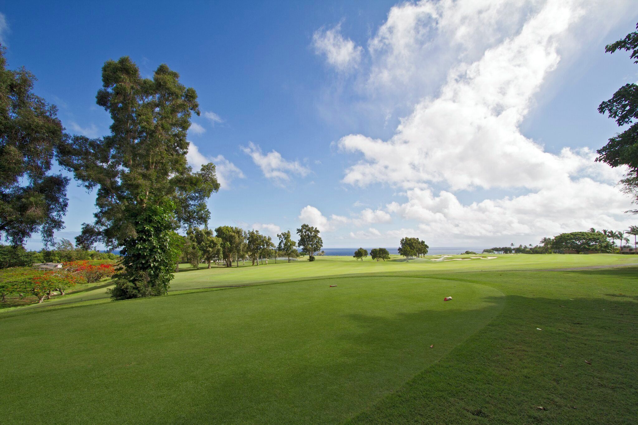 A golf course with a clear sky, lush green grass, and trees.