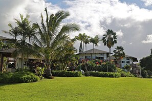 Àrea exterior de l'allotjament