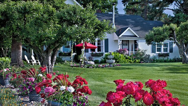A house with a well-maintained lawn and garden, a white picket fence, and a red umbrella.