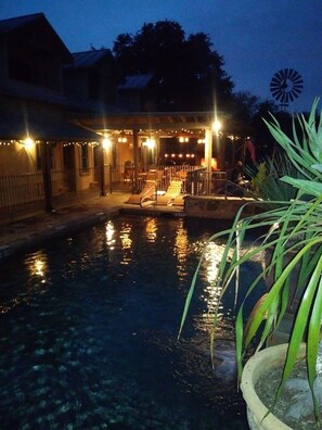 Piscine extérieure, chaises longues