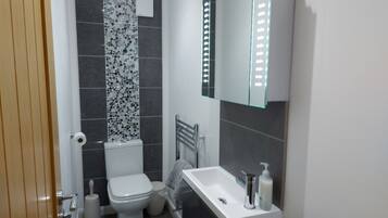 A modern bathroom with a toilet, sink, and mirror.