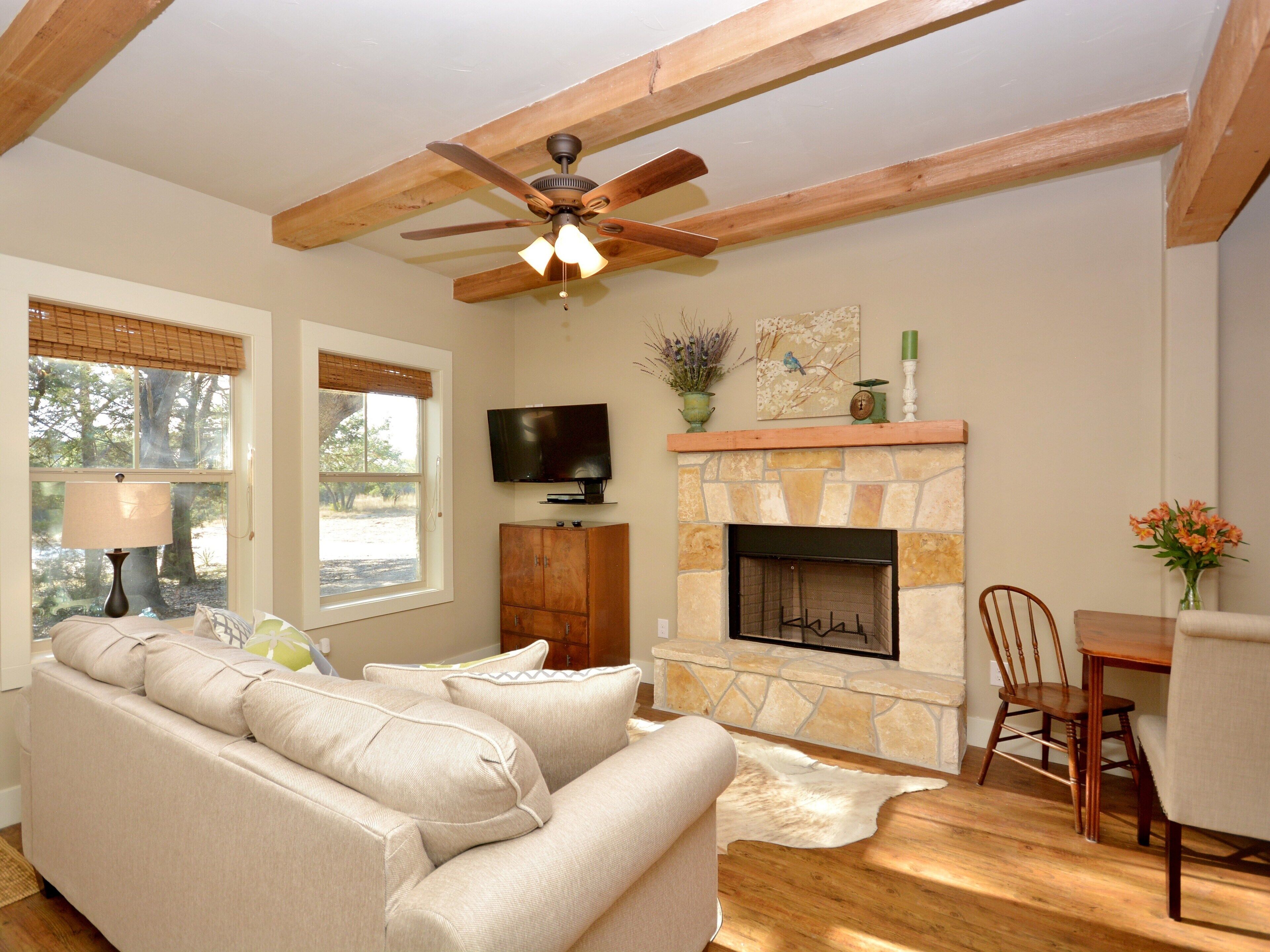 TV, fireplace