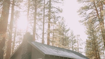 Premium Cabin, 2 Bedrooms, Hot Tub | Terrace/patio