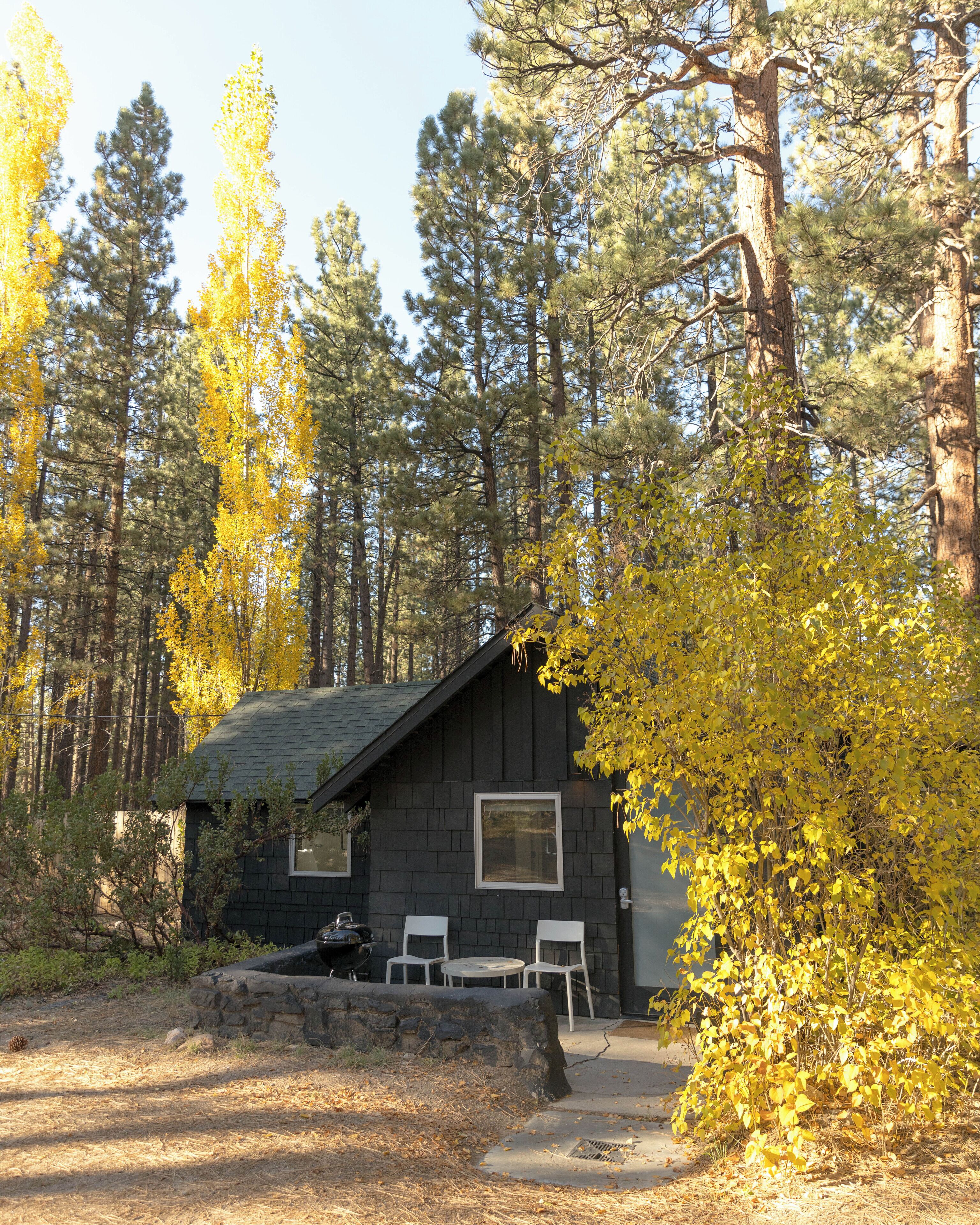 Classic Cabin, 1 Queen Bed with Sofa bed, Courtyard View (C7) | Terrace/patio