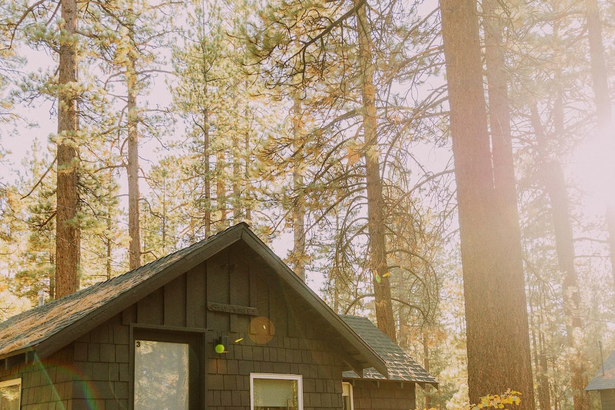 Premier Cabin, 1 Queen Bed, Garden View (C3) | Exterior