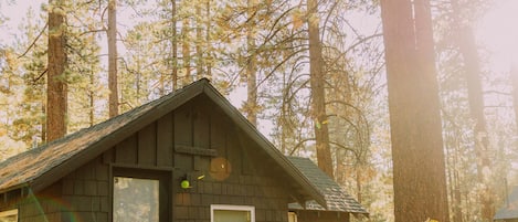 Premier Cabin, 1 Queen Bed, Garden View (C3) | Exterior