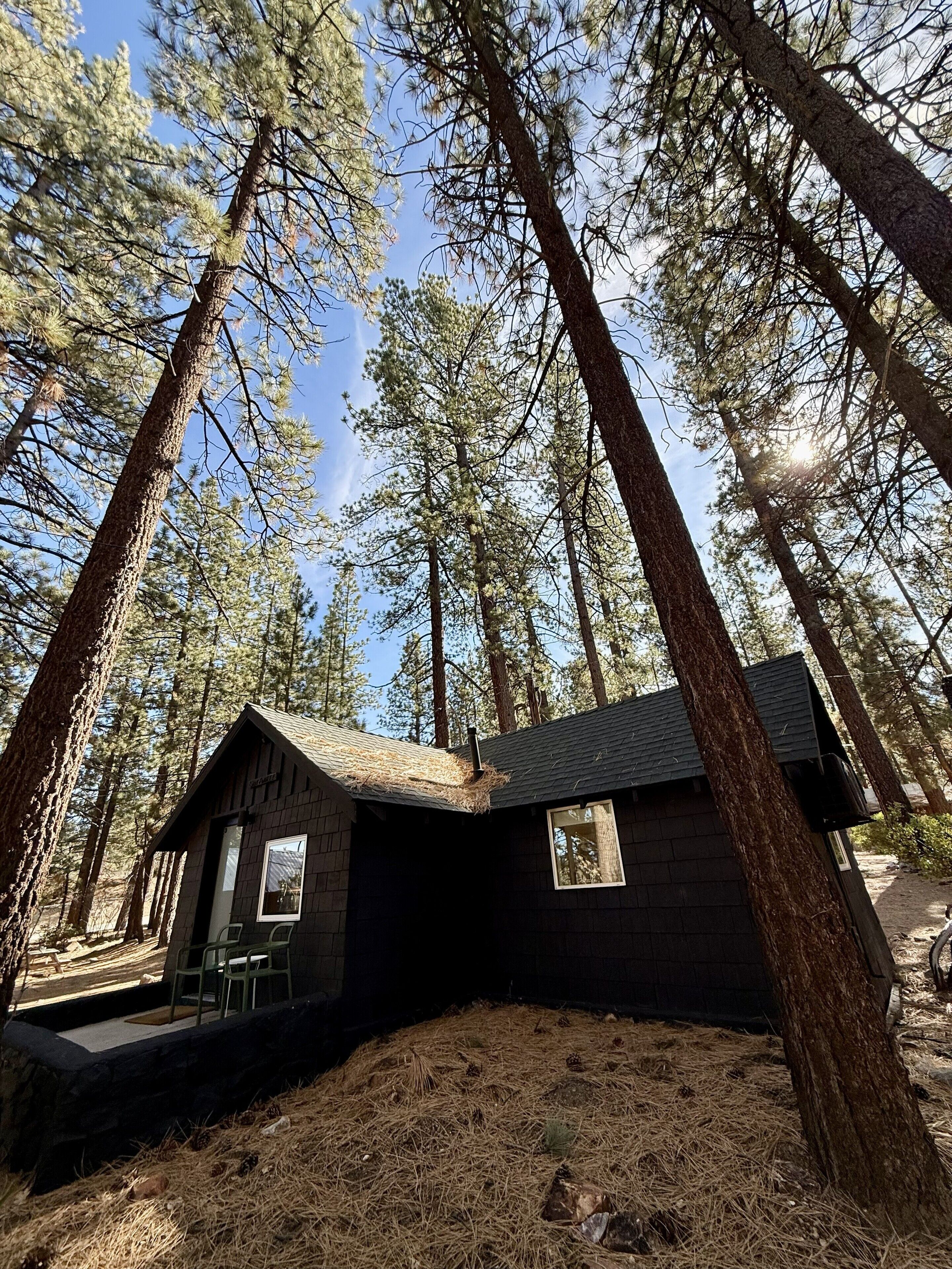Premier Cabin, 1 Queen Bed, Garden View (C3) | Terrace/patio