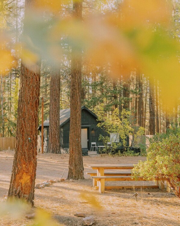 BBQ/피크닉 공간