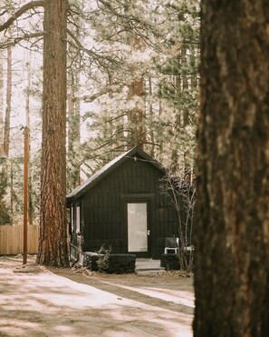 Signature Cabin, 2 Queen Beds, Private Yard (C6) | Soundproofing, free WiFi, bed sheets