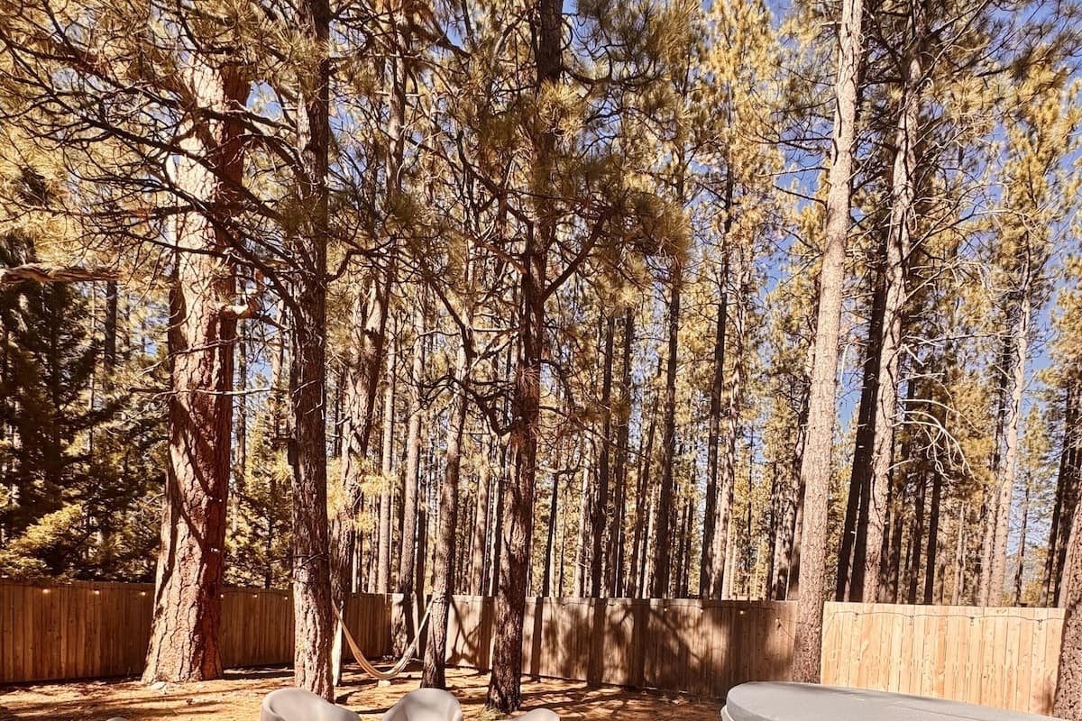 Signature Cabin, 2 Queen Beds, Private Yard (C6) | Terrace/patio