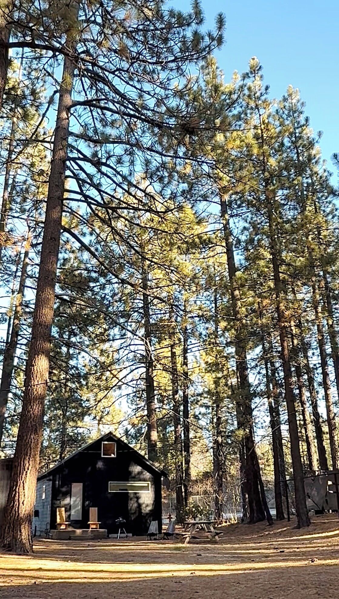 Design Cabin, Multiple Beds, Garden View (C2) | Soundproofing, free WiFi, bed sheets