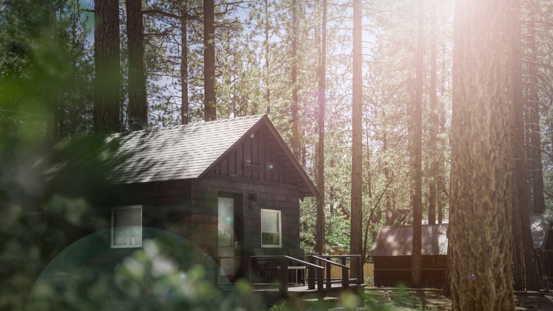 Une cabane dotée d’une véranda, entourée de grands arbres et baignée de la lumière du soleil qui filtre à travers les feuilles.